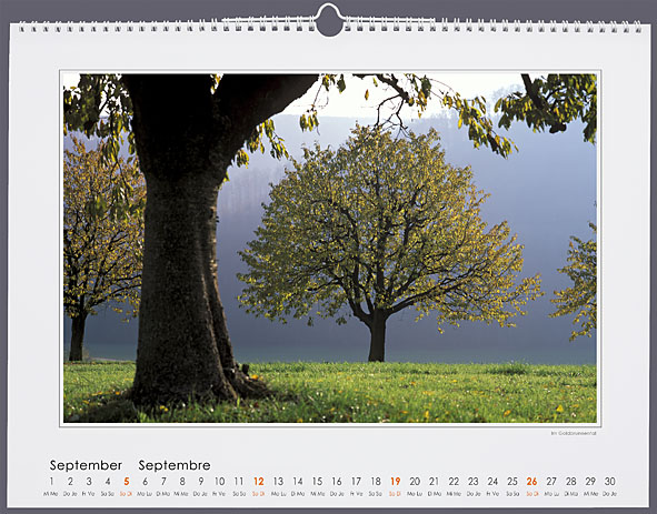 September September